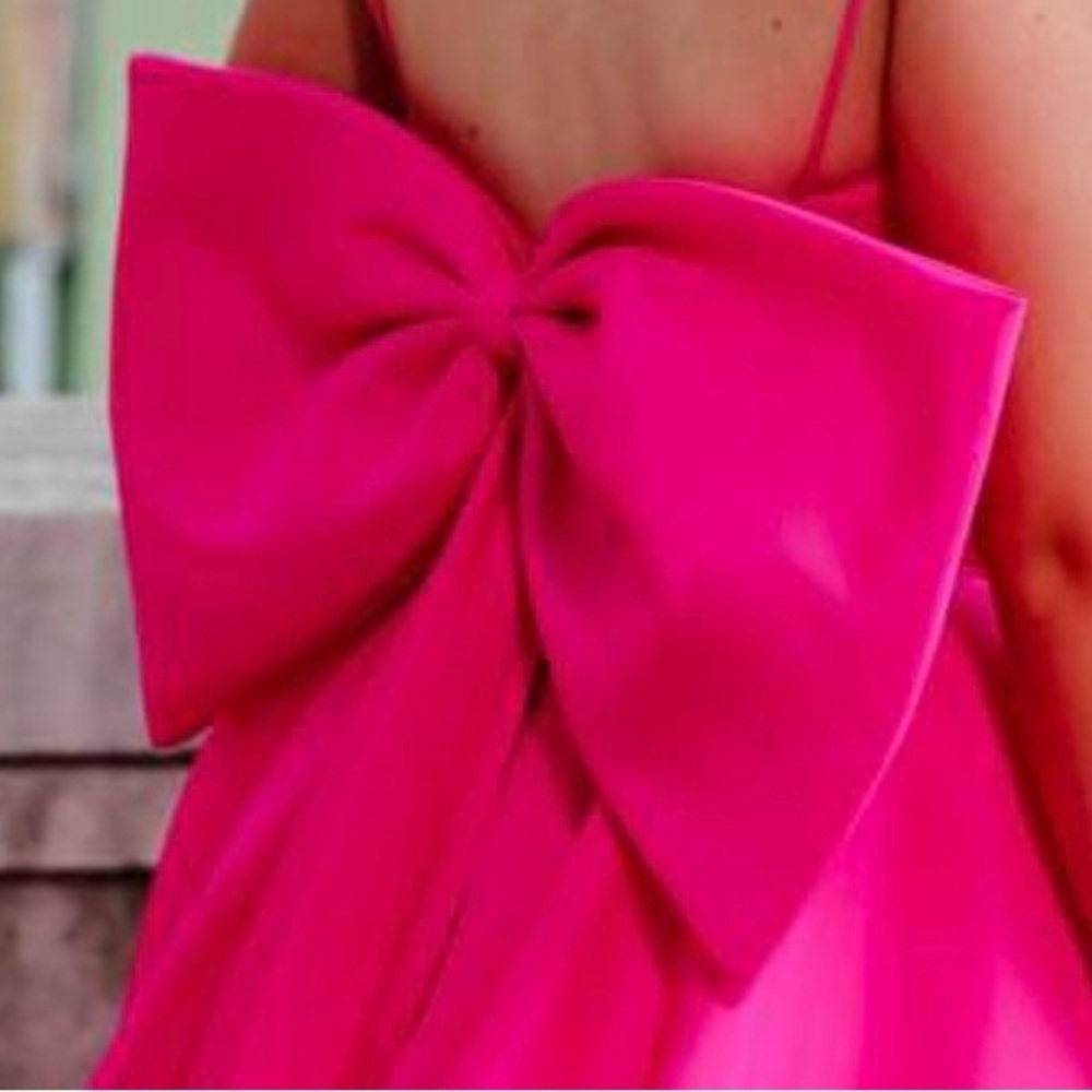 Sherri Hill Elegant Pink Prom Dress size 2 - Picture 4 of 4